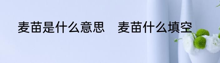 麦苗是什么意思　麦苗什么填空