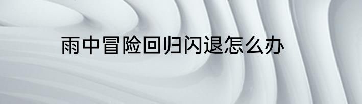 雨中冒险回归闪退怎么办