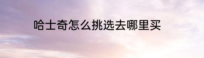 哈士奇怎么挑选去哪里买