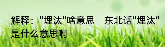 解释：“埋汰”啥意思　东北话“埋汰”是什么意思啊