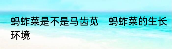 蚂蚱菜是不是马齿苋　蚂蚱菜的生长环境