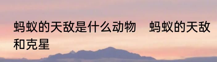 蚂蚁的天敌是什么动物　蚂蚁的天敌和克星