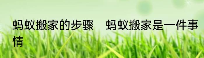 蚂蚁搬家的步骤　蚂蚁搬家是一件事情