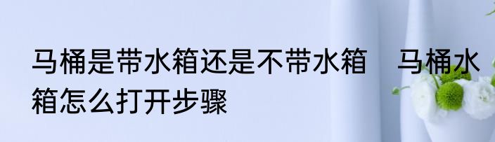 马桶是带水箱还是不带水箱　马桶水箱怎么打开步骤