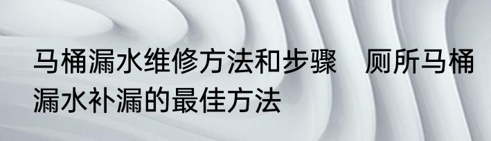 马桶漏水维修方法和步骤　厕所马桶漏水补漏的最佳方法
