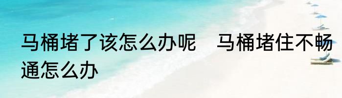 马桶堵了该怎么办呢　马桶堵住不畅通怎么办