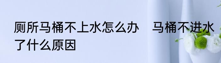 厕所马桶不上水怎么办　马桶不进水了什么原因