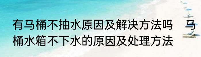 有马桶不抽水原因及解决方法吗　马桶水箱不下水的原因及处理方法