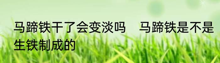 马蹄铁干了会变淡吗　马蹄铁是不是生铁制成的