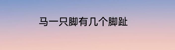 马一只脚有几个脚趾