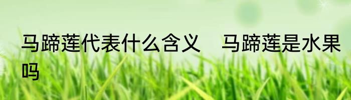 马蹄莲代表什么含义　马蹄莲是水果吗