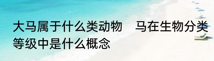大马属于什么类动物　马在生物分类等级中是什么概念