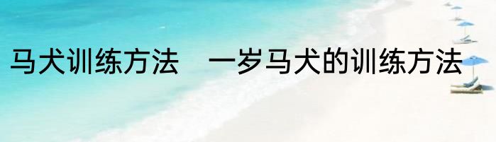 马犬训练方法　一岁马犬的训练方法