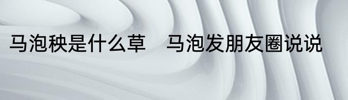 马泡秧是什么草　马泡发朋友圈说说