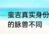 蛮吉真实身份　为什么蛮吉两次召唤的脉兽不同
