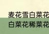 麦花雪白菜花稀的稀是意思　麦花雪白菜花稀菜花是什么意思