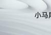 小马尾巴的作用