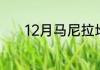 12月马尼拉地毯草皮施什么肥