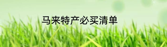 马来特产必买清单