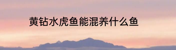 黄钻水虎鱼能混养什么鱼