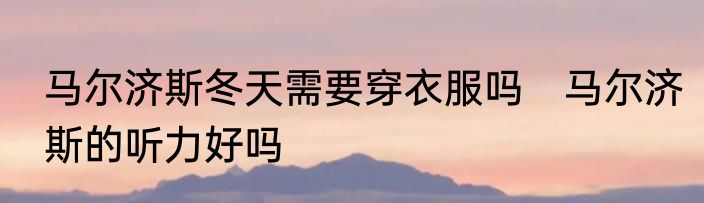马尔济斯冬天需要穿衣服吗　马尔济斯的听力好吗