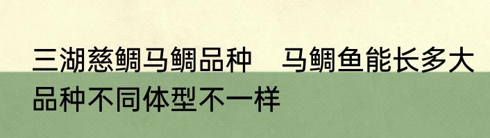 三湖慈鲷马鲷品种　马鲷鱼能长多大品种不同体型不一样