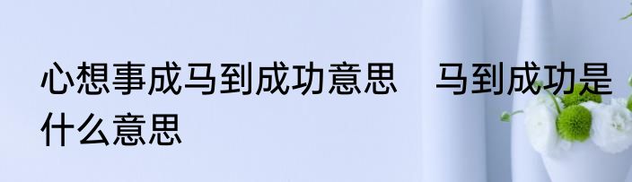 心想事成马到成功意思　马到成功是什么意思