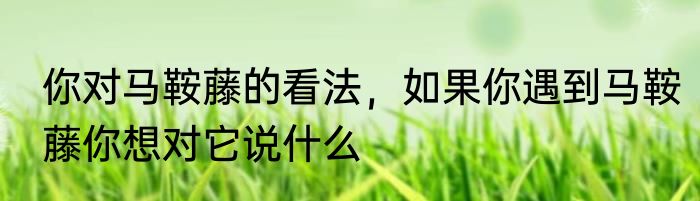 你对马鞍藤的看法，如果你遇到马鞍藤你想对它说什么