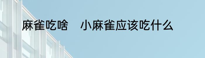 麻雀吃啥　小麻雀应该吃什么