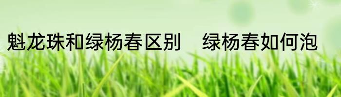 魁龙珠和绿杨春区别　绿杨春如何泡