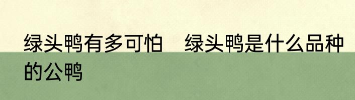 绿头鸭有多可怕　绿头鸭是什么品种的公鸭
