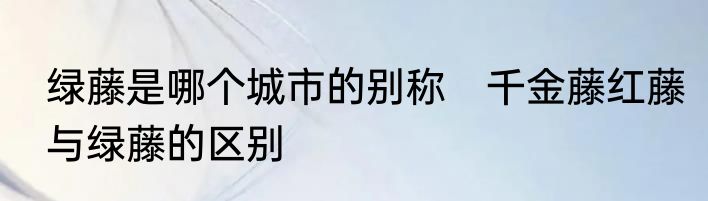 绿藤是哪个城市的别称　千金藤红藤与绿藤的区别