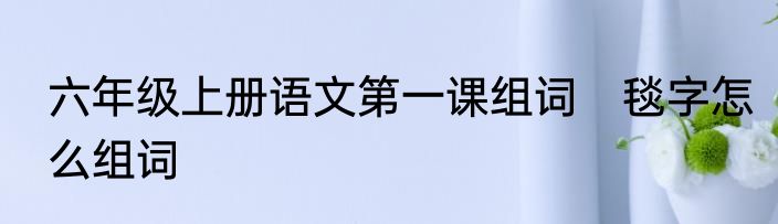 六年级上册语文第一课组词　毯字怎么组词