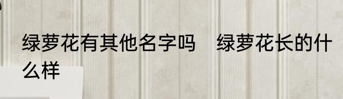 绿萝花有其他名字吗　绿萝花长的什么样