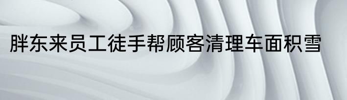 胖东来员工徒手帮顾客清理车面积雪