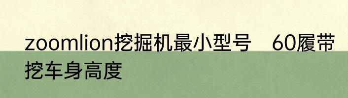 zoomlion挖掘机最小型号　60履带挖车身高度