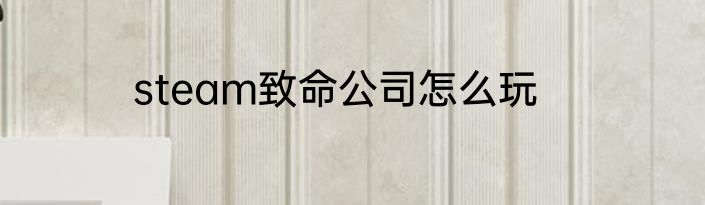 steam致命公司怎么玩