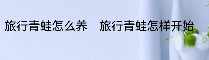 旅行青蛙怎么养　旅行青蛙怎样开始