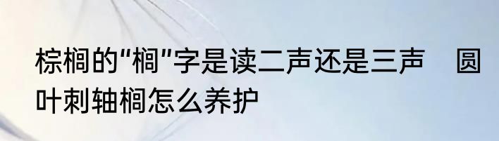 棕榈的“榈”字是读二声还是三声　圆叶刺轴榈怎么养护