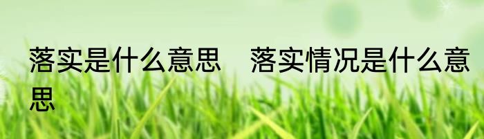 落实是什么意思　落实情况是什么意思