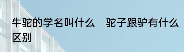 牛驼的学名叫什么　驼子跟驴有什么区别