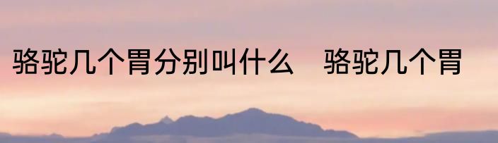 骆驼几个胃分别叫什么　骆驼几个胃