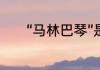 “马林巴琴”是一种什么样乐器