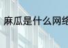 麻瓜是什么网络用语　麻瓜什么意思