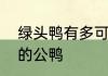 绿头鸭有多可怕　绿头鸭是什么品种的公鸭