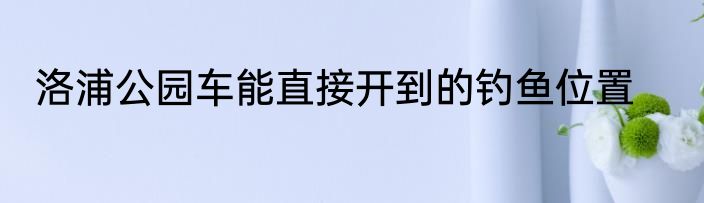 洛浦公园车能直接开到的钓鱼位置