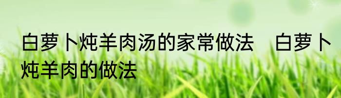 白萝卜炖羊肉汤的家常做法　白萝卜炖羊肉的做法