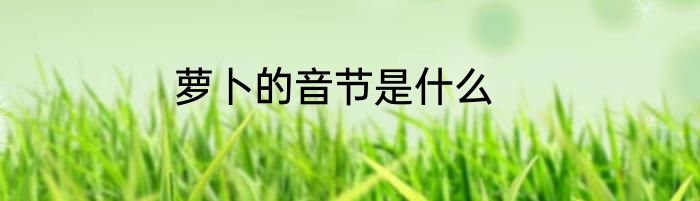 萝卜的音节是什么