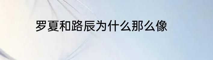 罗夏和路辰为什么那么像