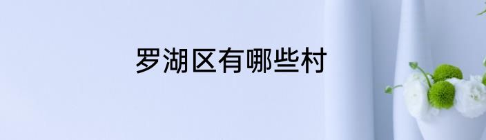 罗湖区有哪些村